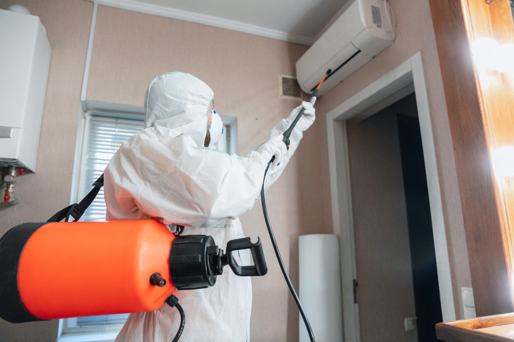 fumigation services in malaysia